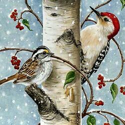 Snow Sparrow
