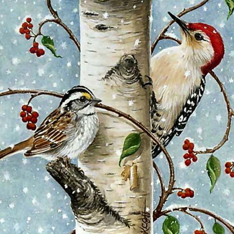 Snow Sparrow
