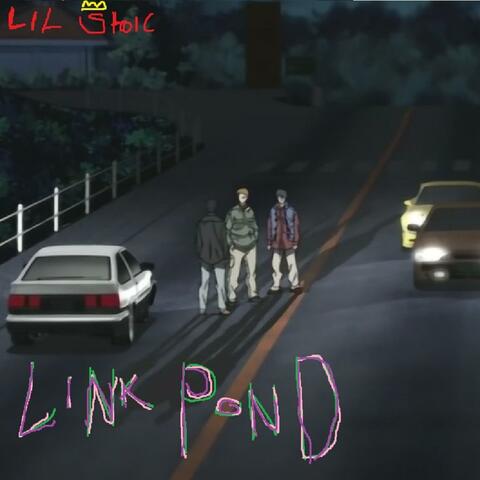 LINK POND