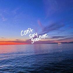 can't say goodbye
