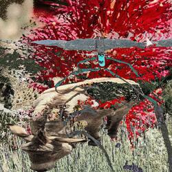 RUNNIN IT UP (INTERLUDE)