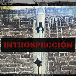 Introspección