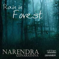 Rain in Forest