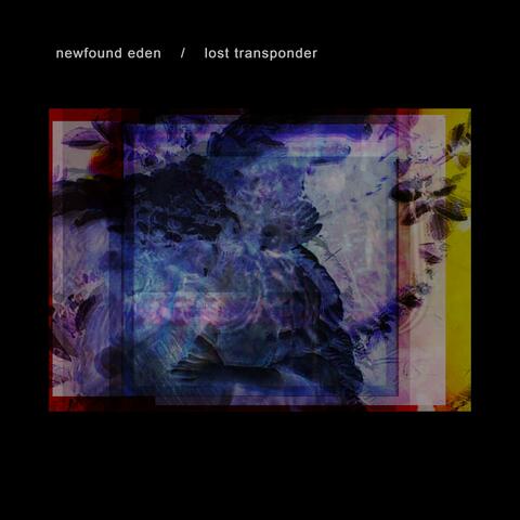 lost transponder