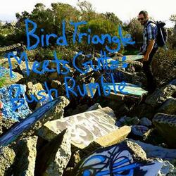 Fighter (feat. Bird Triangle)