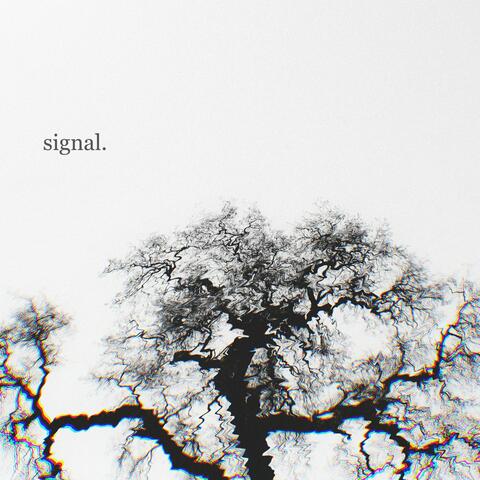 Signal