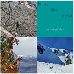 Never Say Forever