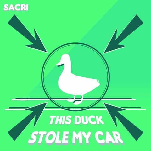 This Duck Stole My Car