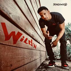 Wild'n