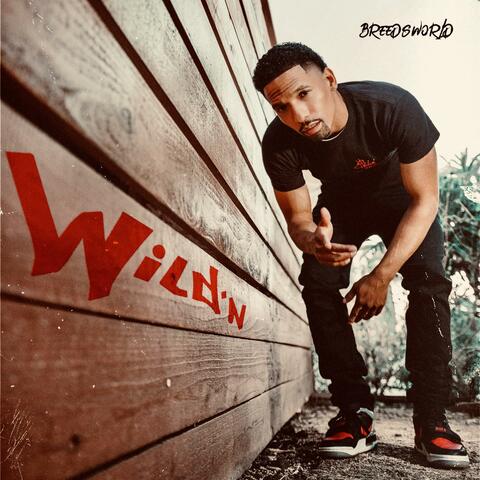 Wild'n
