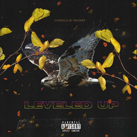 Leveled Up