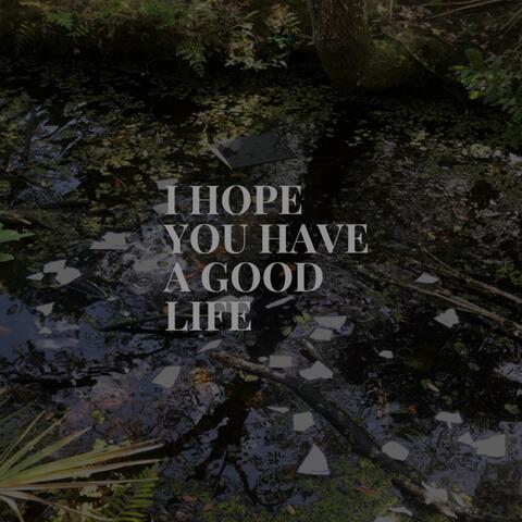 I Hope You Have A Good Life