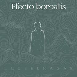 Luciérnagas