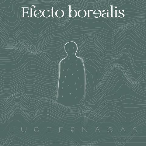 Luciérnagas