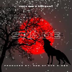 Shade (feat. AINTSAINT)