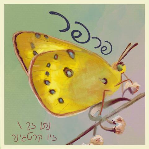פרפר