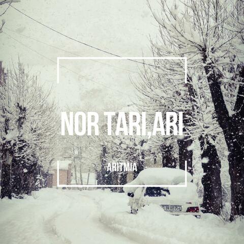 Nor Tari, Ari