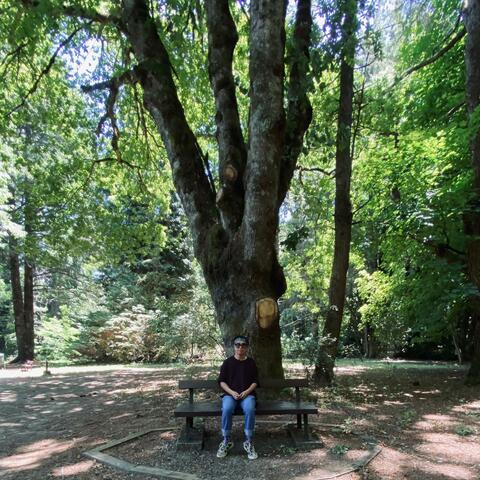 prométeme que cantarás sobre mí, vol. 1