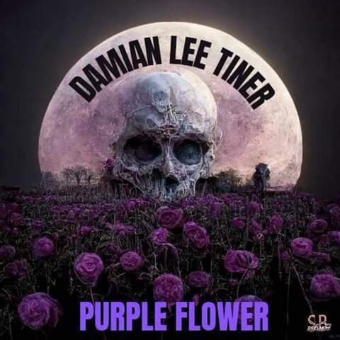 Purple Flower