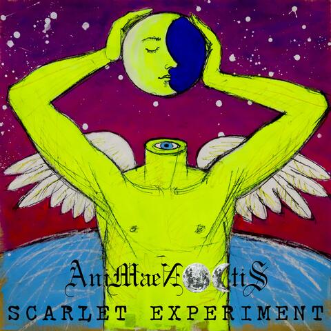 Scarlet Experiment