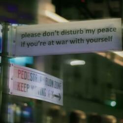 Don't Disturb My Peace