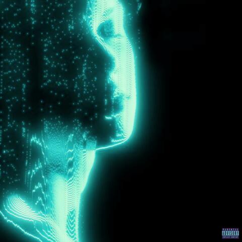 steal/void