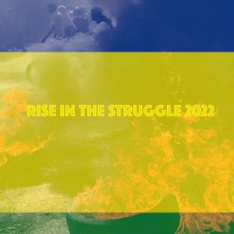 Rise in the Struggle (NileRhythmik Remix)