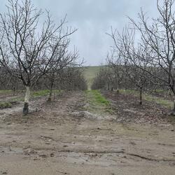 When Does the Dam Break