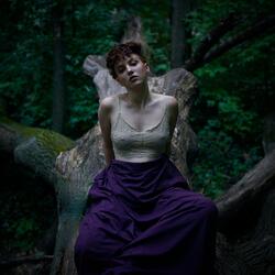 Hollow Tree
