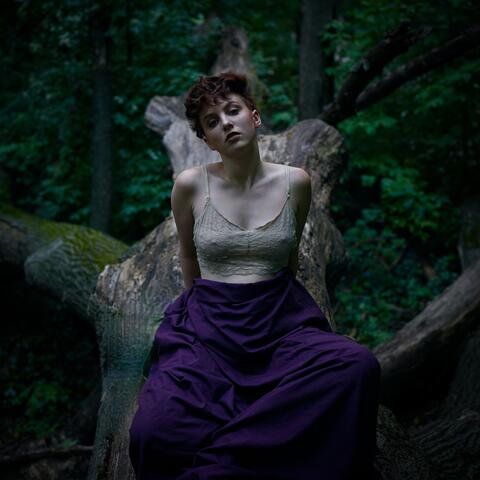 Hollow Tree
