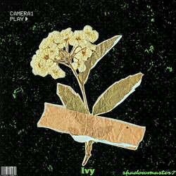 Ivy