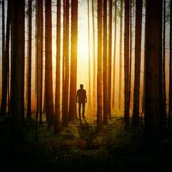 Wandering ... Wondering ... Why?