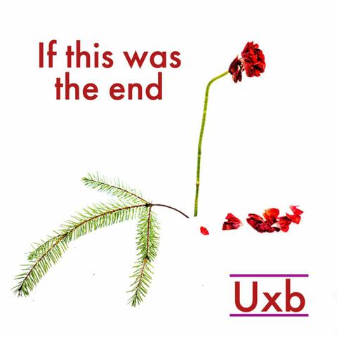 If This Was The End