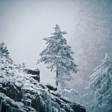 Cold Winter