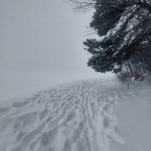 winter II