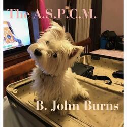 Ringing All the Time