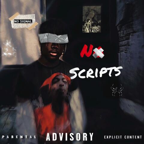 No Scripts