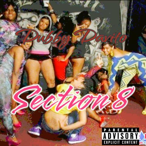 Section 8