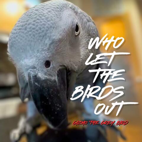 Who Let The Birds Out (Jetty Rachers Remix)