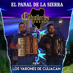 El panal de la sierra (feat. los varones de culiacan)