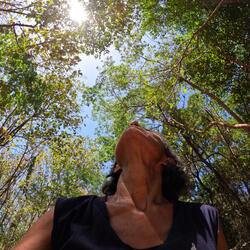 Emporté par le vent