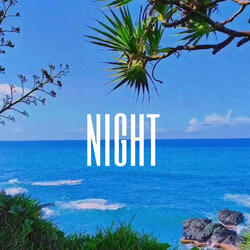 Night