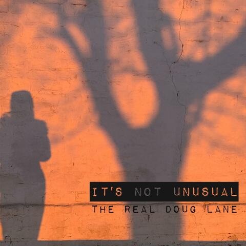 It's Not Unusual (Radio Edit)