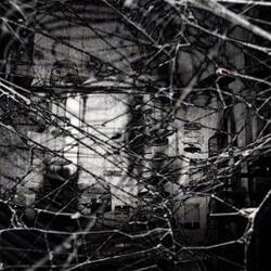 Vogue 2 (feat. sedate)