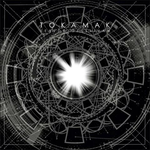Tokamak