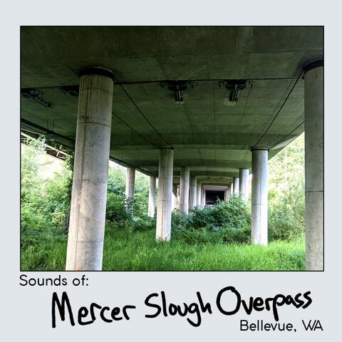 Sounds Of: Mercer Slough Overpass, Bellevue WA (Extended Version)