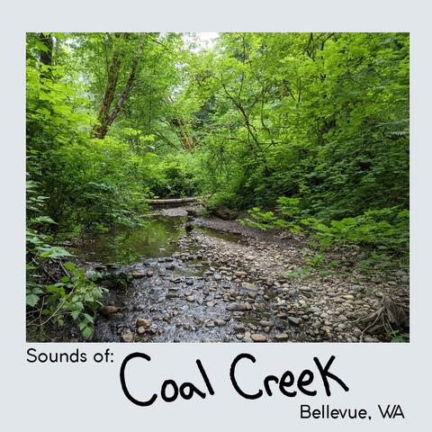 Sounds Of: Coal Creek, Bellevue WA