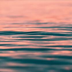 wave goodbye