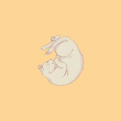 Sleepy Cat :)