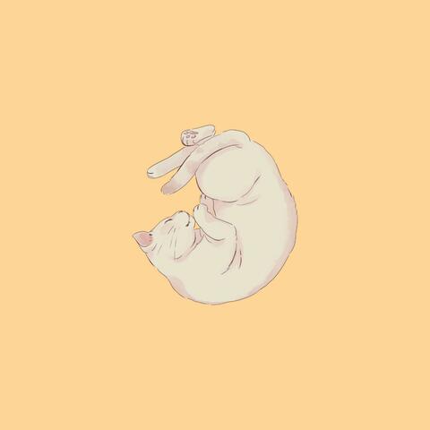 Sleepy Cat :)